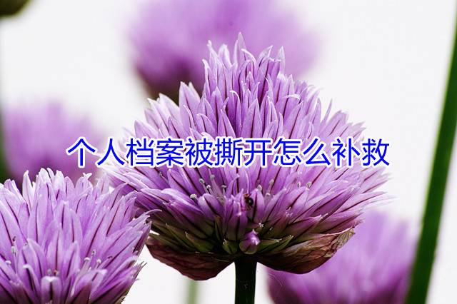 个人档案被撕开怎么补救