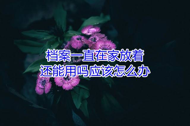档案一直在家放着还能用吗应该怎么办