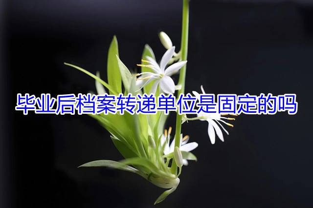 毕业后档案转递单位是固定的吗