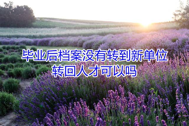 毕业后档案没有转到新单位转回人才可以吗