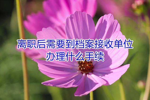 离职后需要到档案接收单位办理什么手续