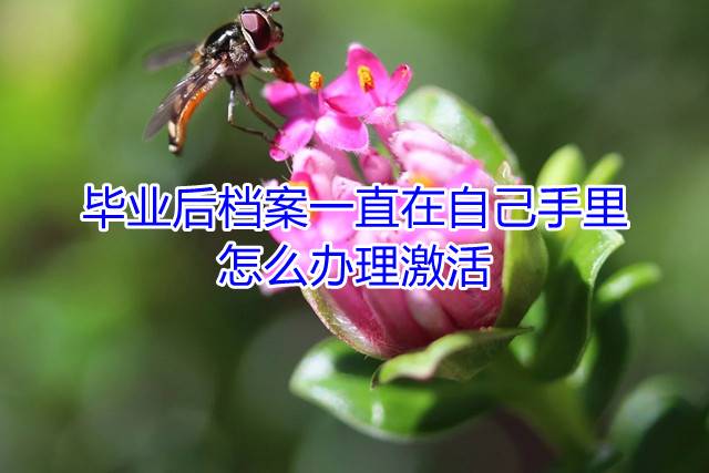 毕业后档案一直在自己手里，怎么办理激活