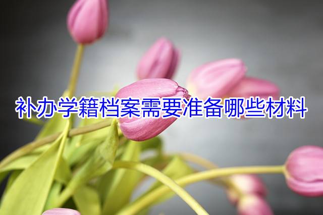 补办学籍档案需要准备哪些材料