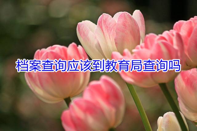 档案查询应该到教育局查询吗