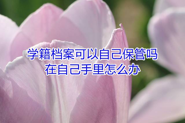 学籍档案可以自己保管吗，在自己手里怎么办