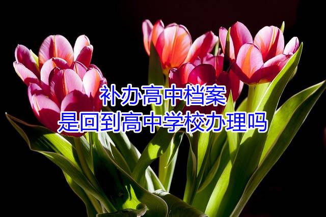 补办高中档案是回到高中学校办理吗
