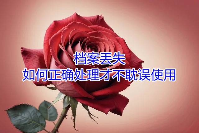 档案丢失如何正确处理才不耽误使用