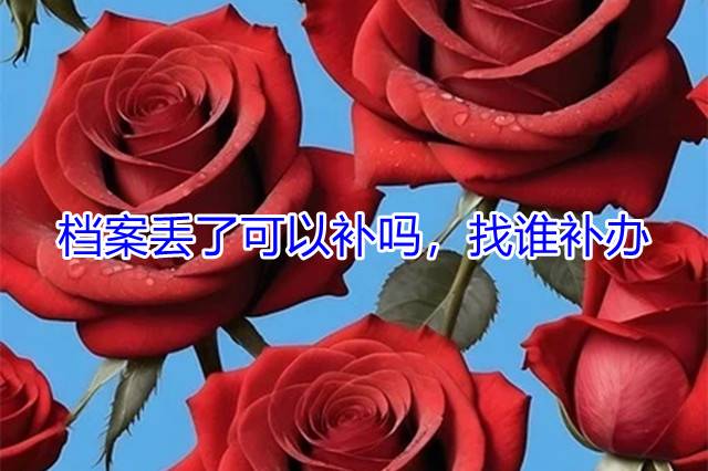 档案丢了可以补吗，找谁补办