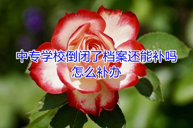 中专学校倒闭了档案还能补吗，怎么补办