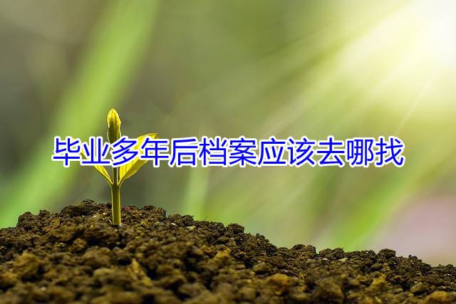 毕业多年后档案应该去哪找