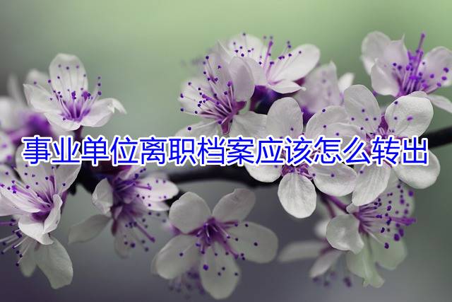事业单位离职档案应该怎么转出
