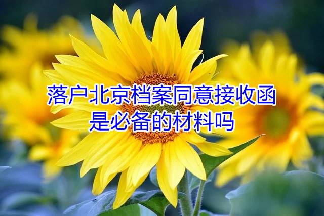 落户北京档案同意接收函是必备的材料吗