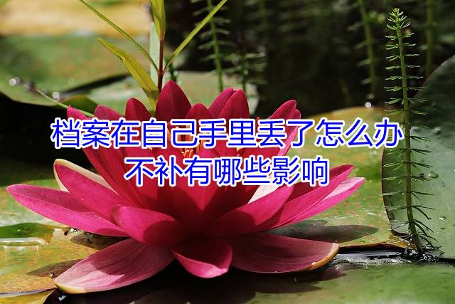 档案在自己手里丢了怎么办，不补有哪些影响