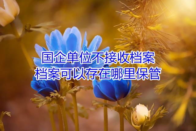 国企单位不接收档案，档案可以存在哪里保管