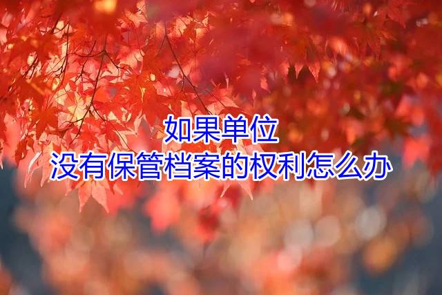 如果单位没有保管档案的权利怎么办