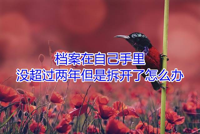 档案在自己手里没超过两年但是拆开了怎么办