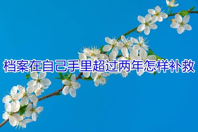 档案在自己手里超过两年怎样补救
