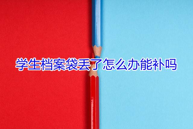 学生档案袋丢了怎么办能补吗