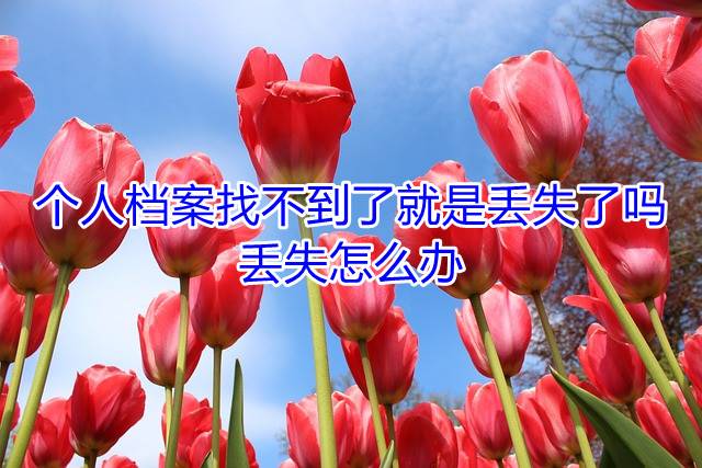 个人档案找不到了就是丢失了吗，丢失怎么办
