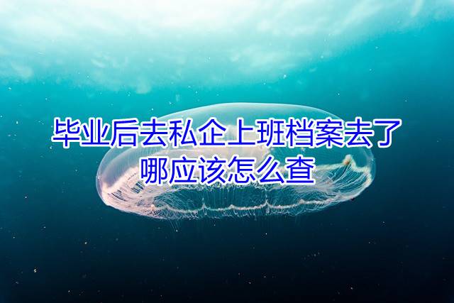 毕业后去私企上班档案去了哪应该怎么查