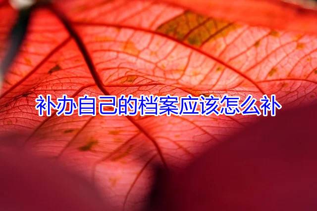 补办自己的档案应该怎么补
