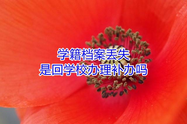 学籍档案丢失，是回学校办理补办吗