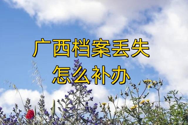 广西档案丢失别拖，否则是会影响到无法办理退休的