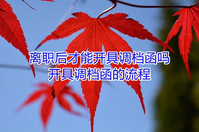 离职后才能开具调档函吗，开具调档函的流程