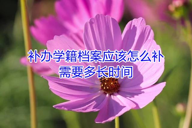 补办学籍档案应该怎么补，需要多长时间