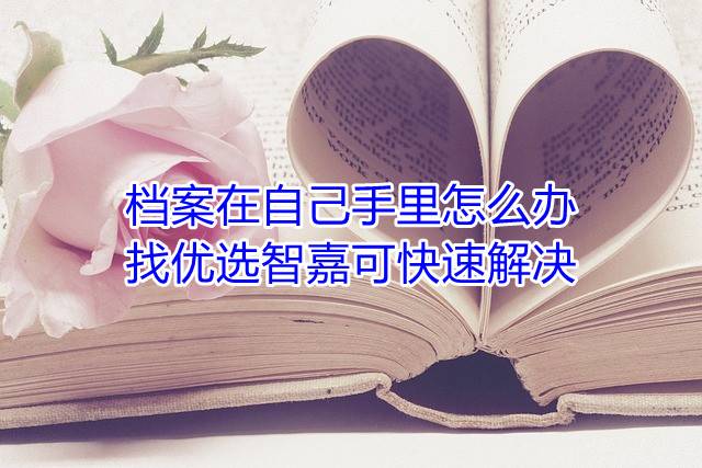 档案在自己手里怎么办，找优选智嘉可快速解决