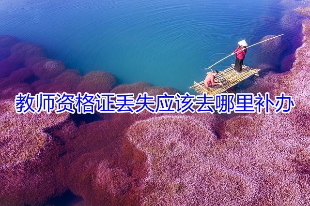 教师资格证丢失应该去哪里补办