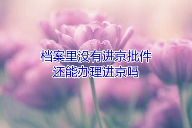档案里没有进京批件还能办理进京吗