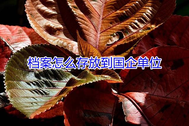 档案怎么存放到国企单位
