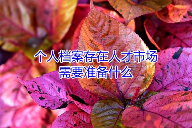 个人档案存在人才市场需要准备什么