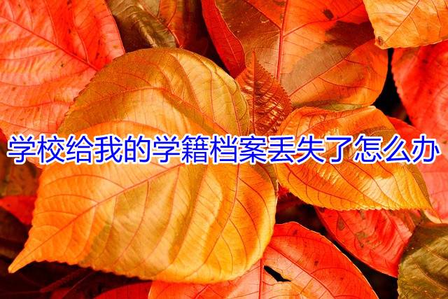 学校给我的学籍档案丢失了怎么办