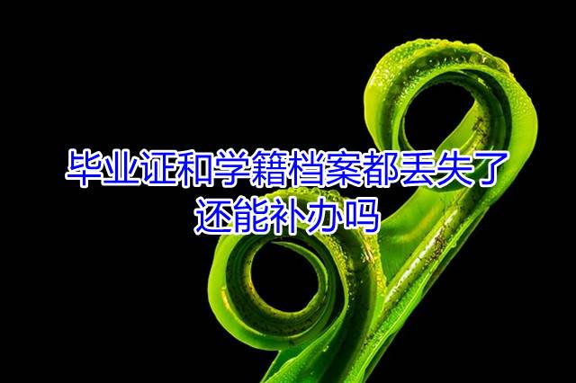 毕业证和学籍档案都丢失了还能补办吗