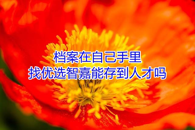 档案在自己手里，找优选智嘉能存到人才吗