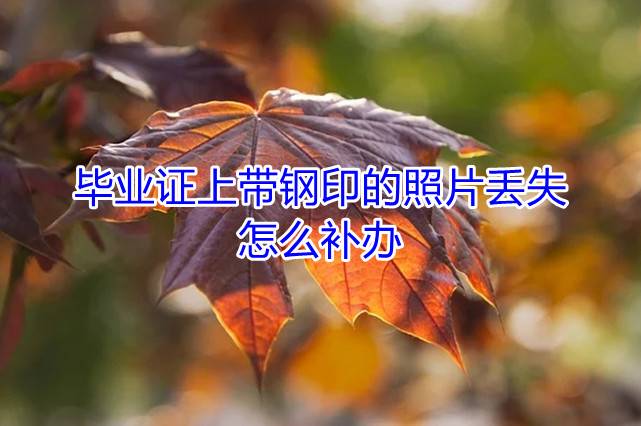 毕业证上带钢印的照片丢失，怎么补办