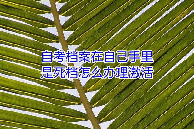 自考档案在自己手里是死档怎么办理激活