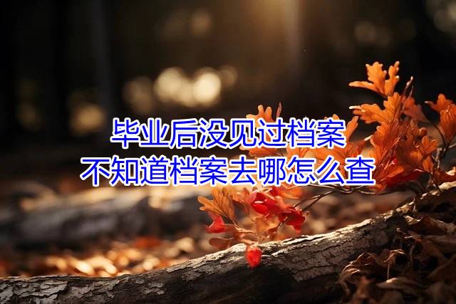 毕业后没见过档案，不知道档案去哪怎么查