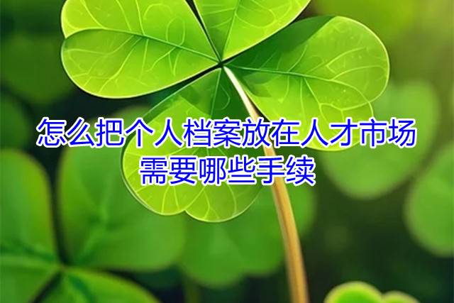 怎么把个人档案放在人才市场，需要哪些手续
