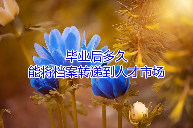 毕业后多久能将档案转递到人才市场
