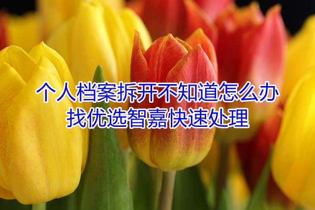 个人档案拆开不知道怎么办，找优选智嘉快速处理