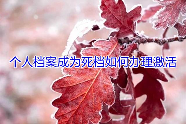 个人档案成为死档如何办理激活