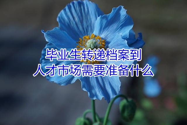毕业生转递档案到人才市场需要准备什么