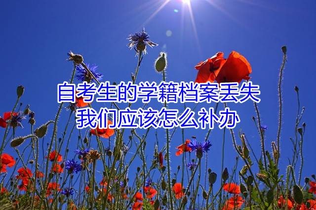 自考生的学籍档案丢失，我们应该怎么补办