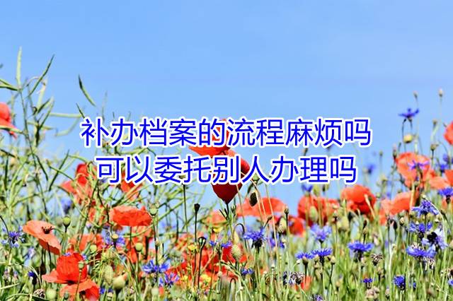 补办档案的流程麻烦吗，可以委托别人办理吗