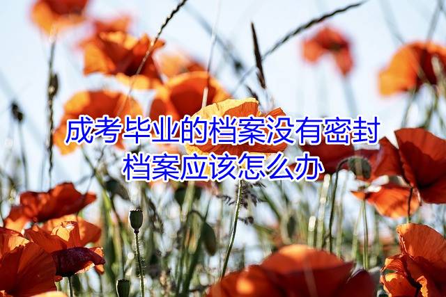 成考毕业的档案没有密封，档案应该怎么办