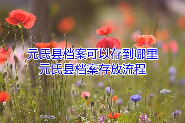 元氏县档案可以存到哪里，元氏县档案存放流程