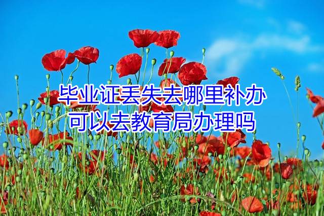 毕业证丢失去哪里补办，可以去教育局办理吗